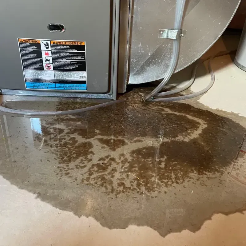 Appliance Leak Cleanup in Bloomington, IN